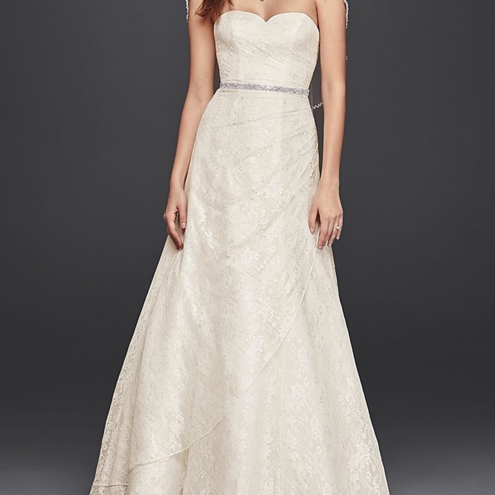 David’s Bridal Allover Lace A-Line Strapless Dress